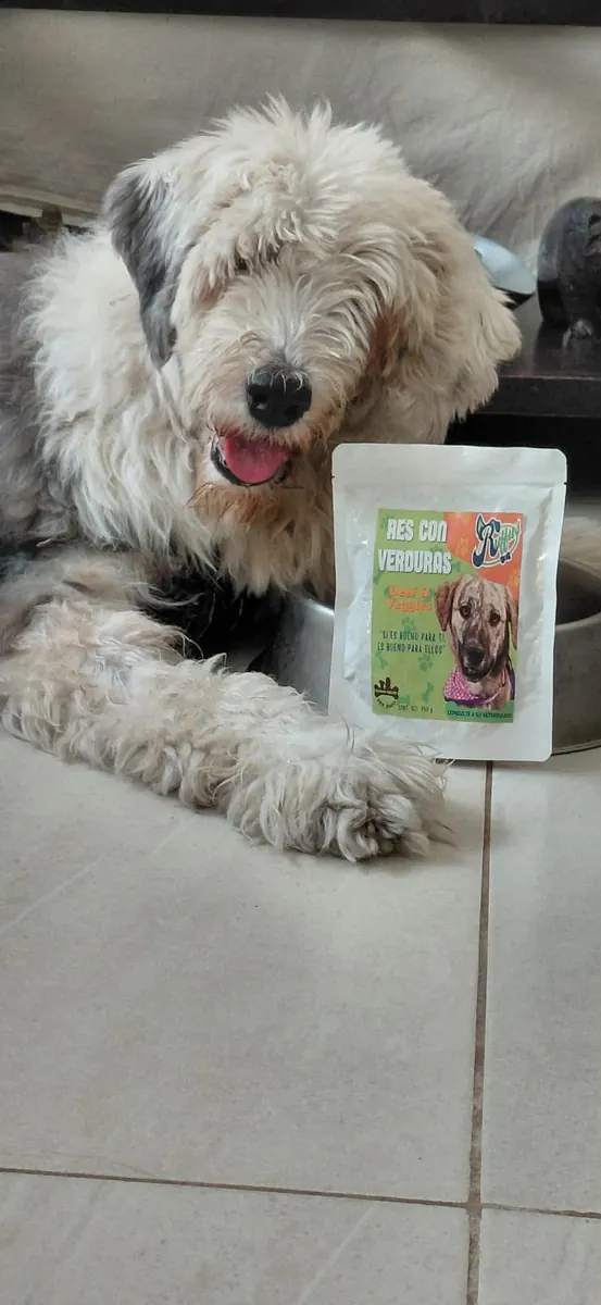 Happy dog with a Ruffus pet food pouch