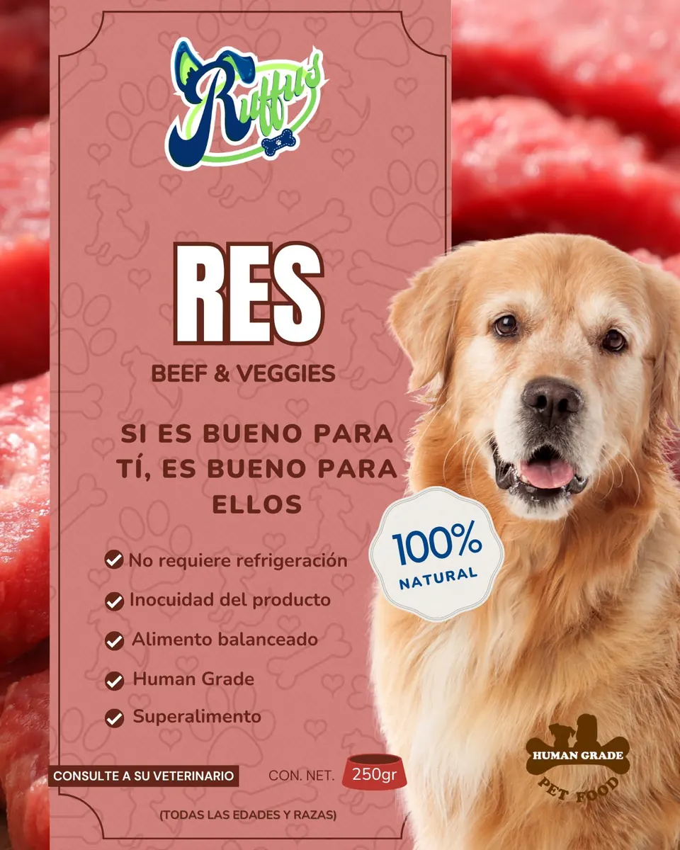 Beef & Vegetables