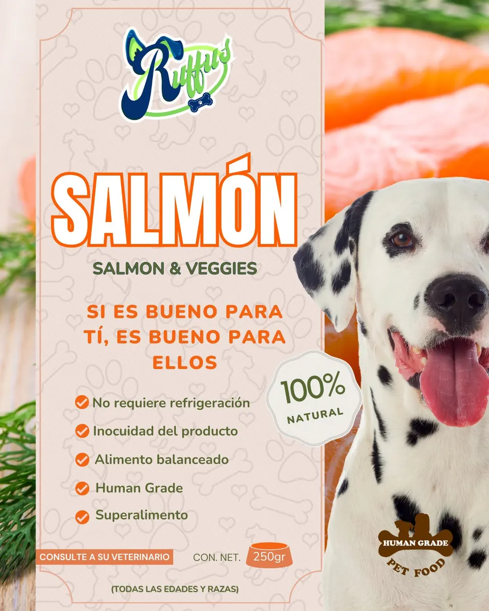 Salmon & Vegetables